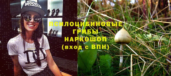 твердый Абинск