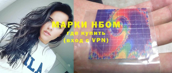 ECSTASY Алзамай