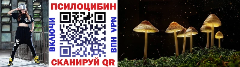 Псилоцибиновые грибы Psilocybine cubensis  Злынка 